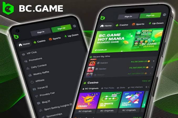 Connecting with BC.Game Essential Contacts and Support